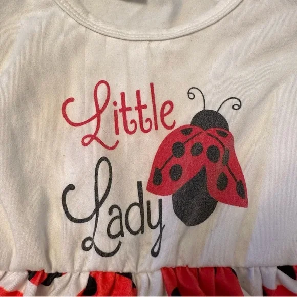 Lady Bug baby girl dress 9-12 months - Picture 4 of 4